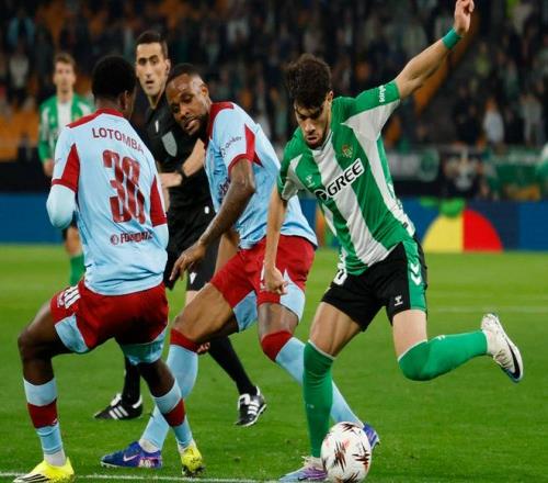 澳网资格赛,名单公布,郑钦文首战,中国明发彩票网,足彩竞猜,明发彩票网,体彩竞猜