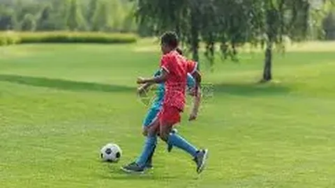 北京冬奥会官方电影即将隆重首映